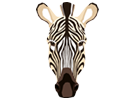 Zebras