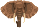 Elephants